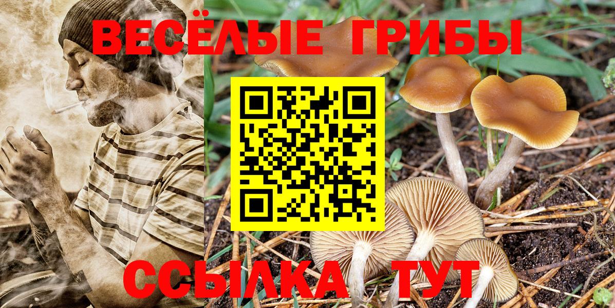 Галлюциногенные грибы Cubensis  Вход с VPN  Омск 